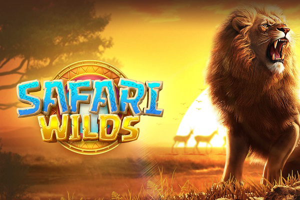 Wild Safari